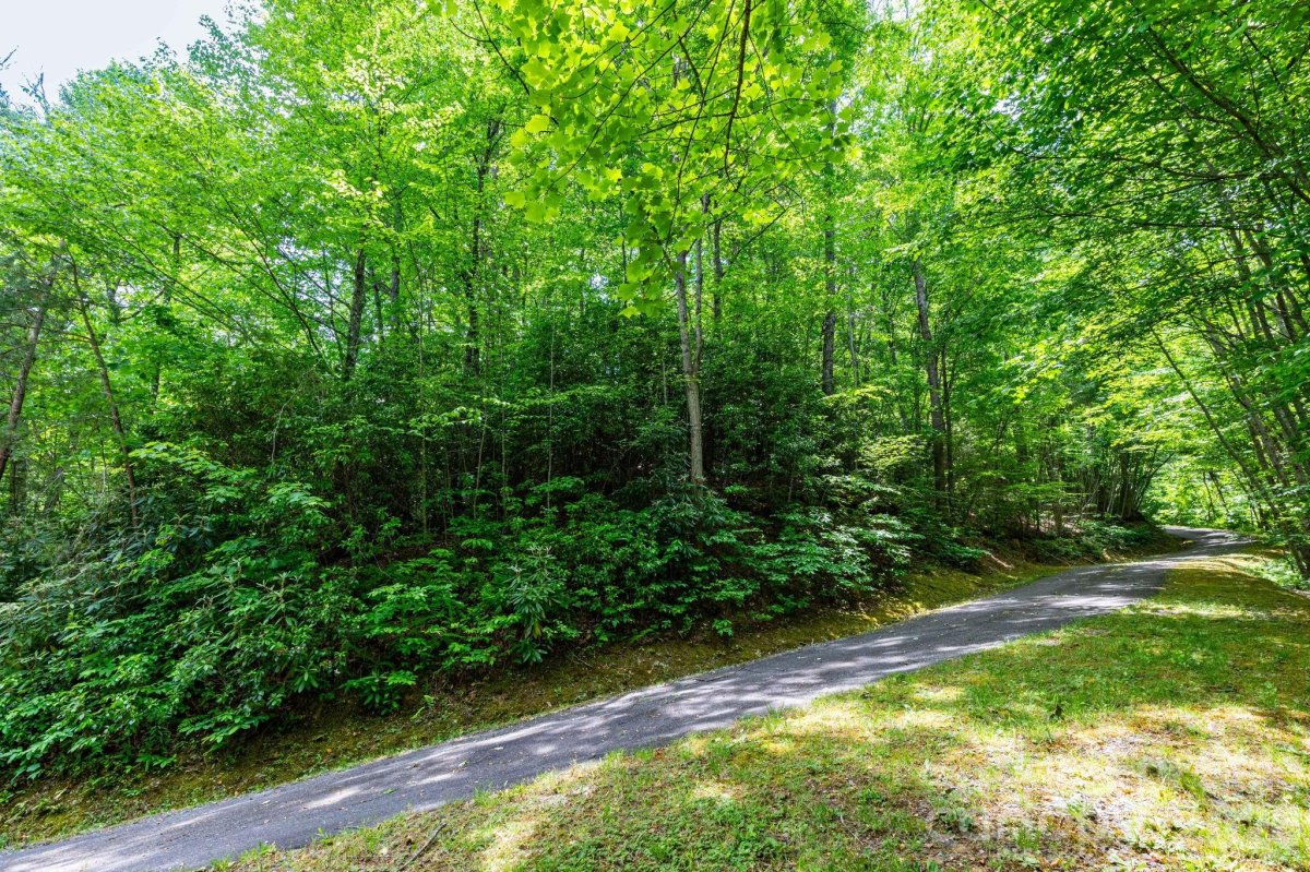 46 Widgeon Way