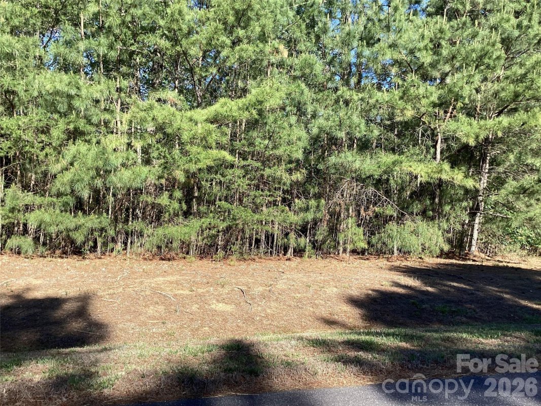 307 Twin Cove Drive