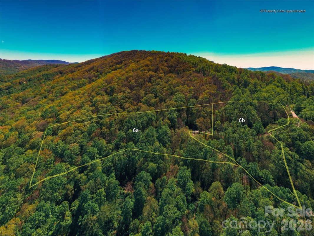 58 64 Flora Rose Trail