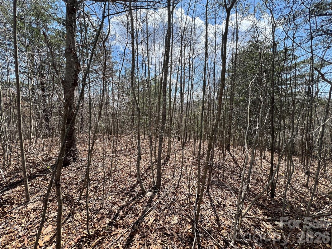 192 Pine Cone Trail