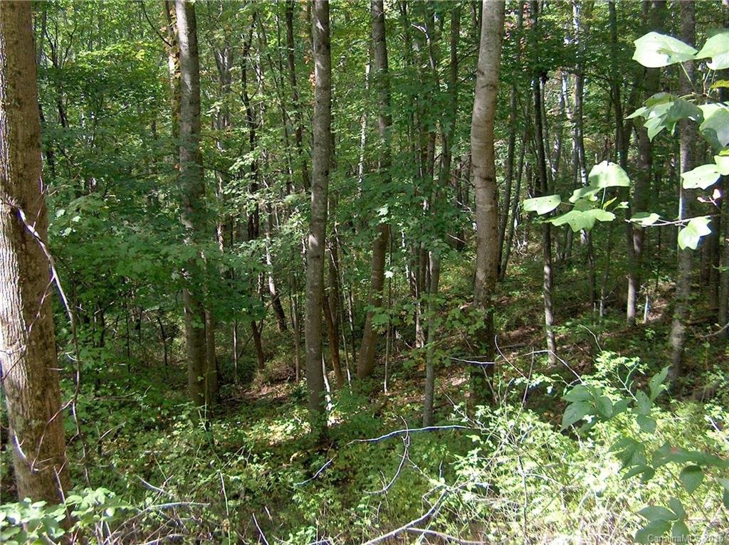 Lot 25 Spring Valley Drive
