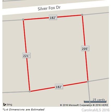 0 Silver Fox Drive