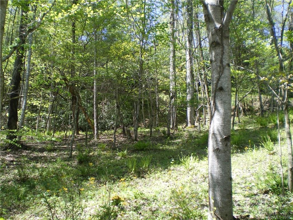 Lot 7 Pisgah Forest Drive