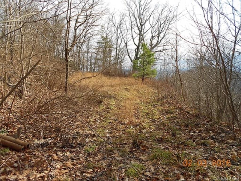 00 Hyacinth Drive Lot # 22