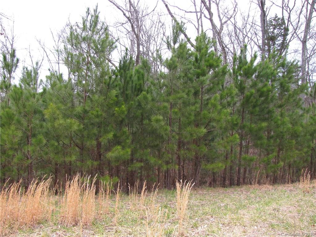 418 Ibis Lane