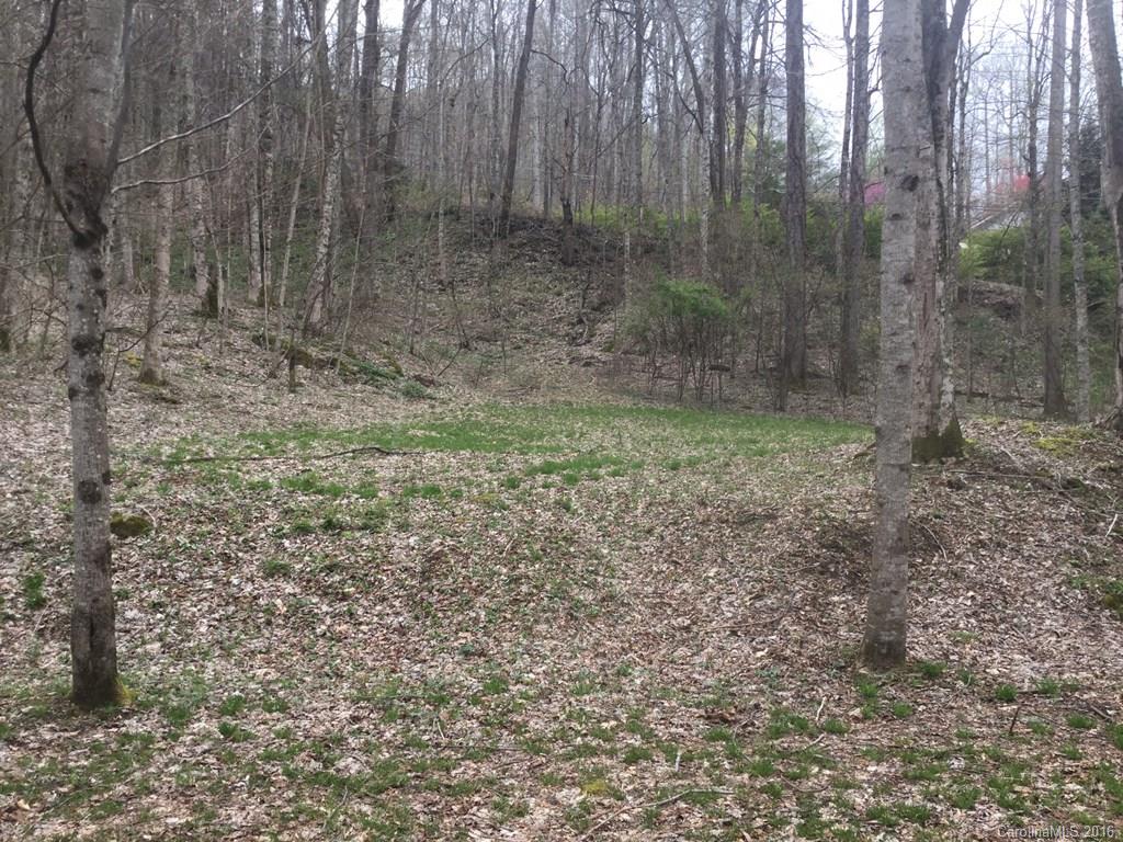 Lots 29 30 37 38 Apple Creek Road