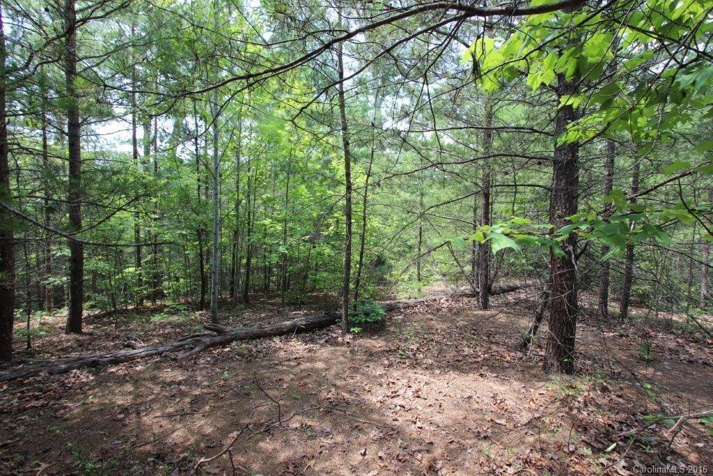 Lot 14 E Mcowenben Pass Road