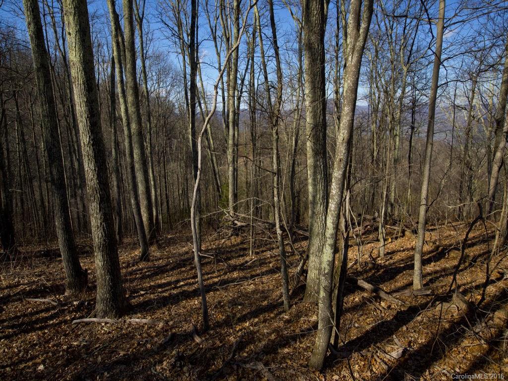 Lot 56 Comanche Trail