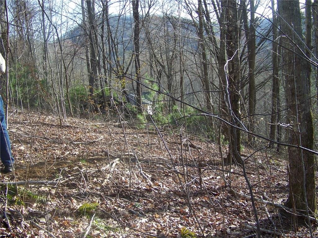 26 Appaloosa Trail