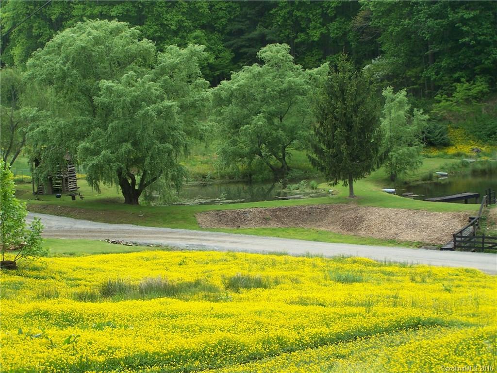00 Appaloosa Trail
