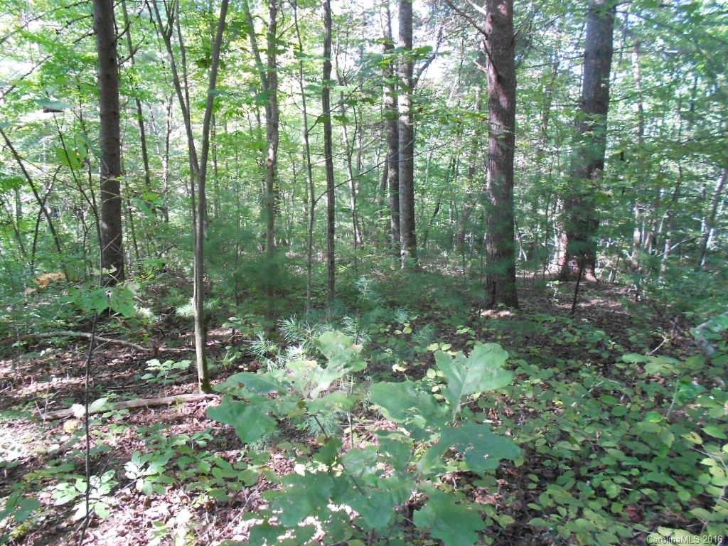 132 Overlook Park Drive
