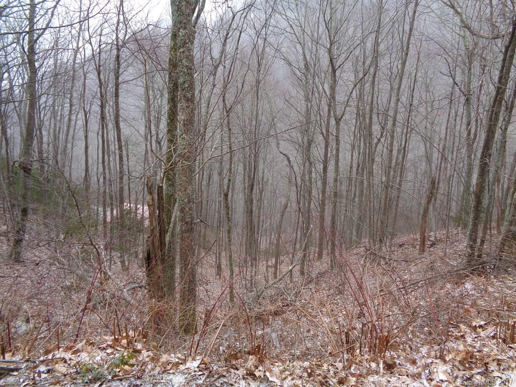 Lot 13 Wolf Laurel Drive