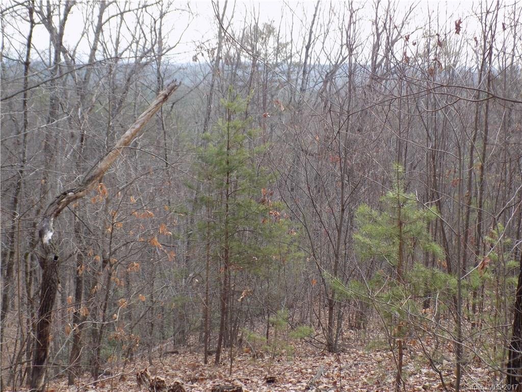 0 Deer Path