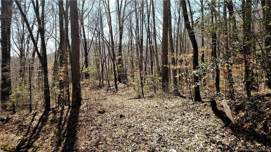 0000 Hemlock Falls Drive 1 sec 4