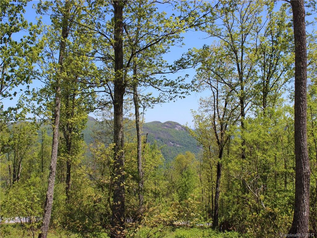 Lot 37 Grand Oaks Drive