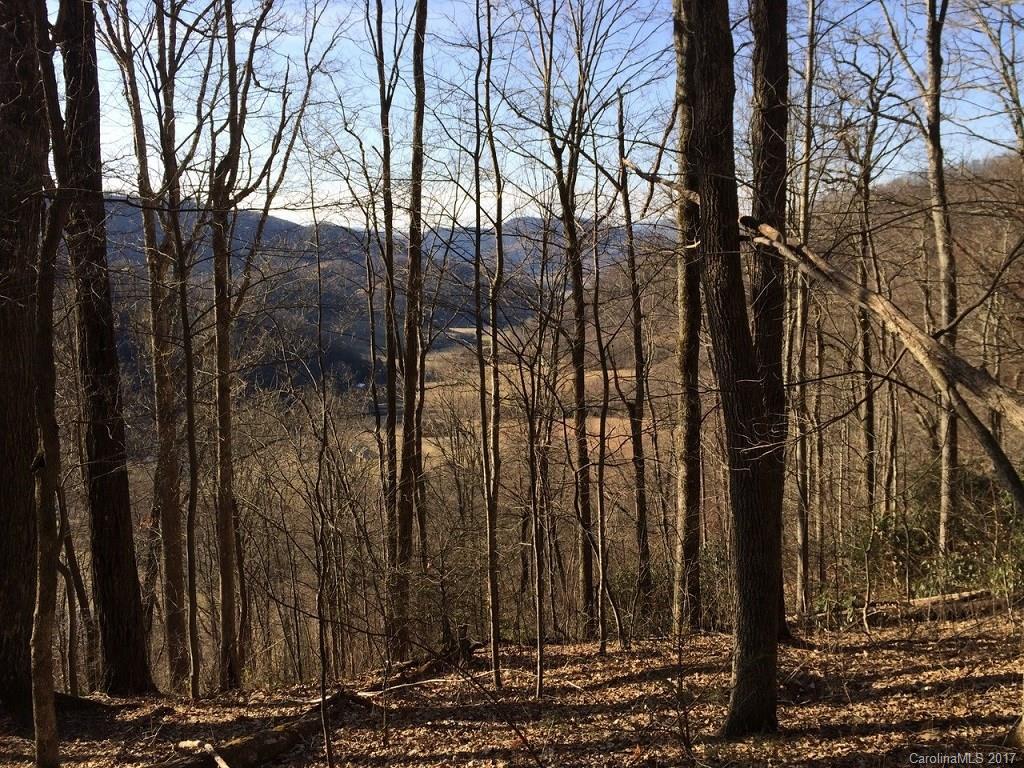 Lot 43 Triple Creek Drive