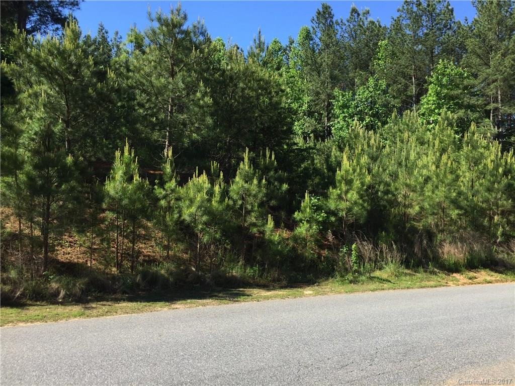 153 Winding Forest Drive
