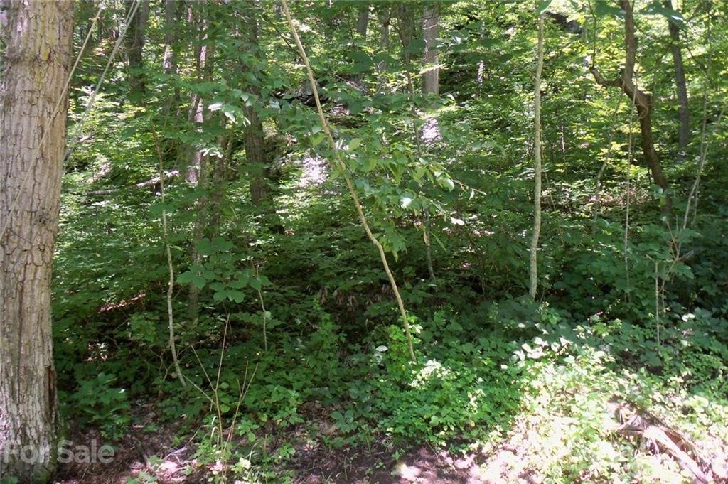 Lot 25 Countryside Drive