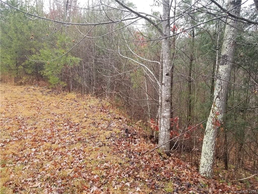 75 Pinecone Trail 23