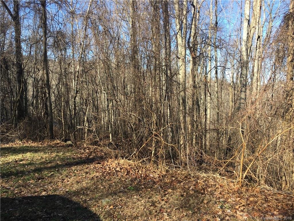 104 Aster Ridge Trail