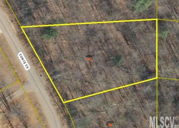4184 Tonys Trail 99