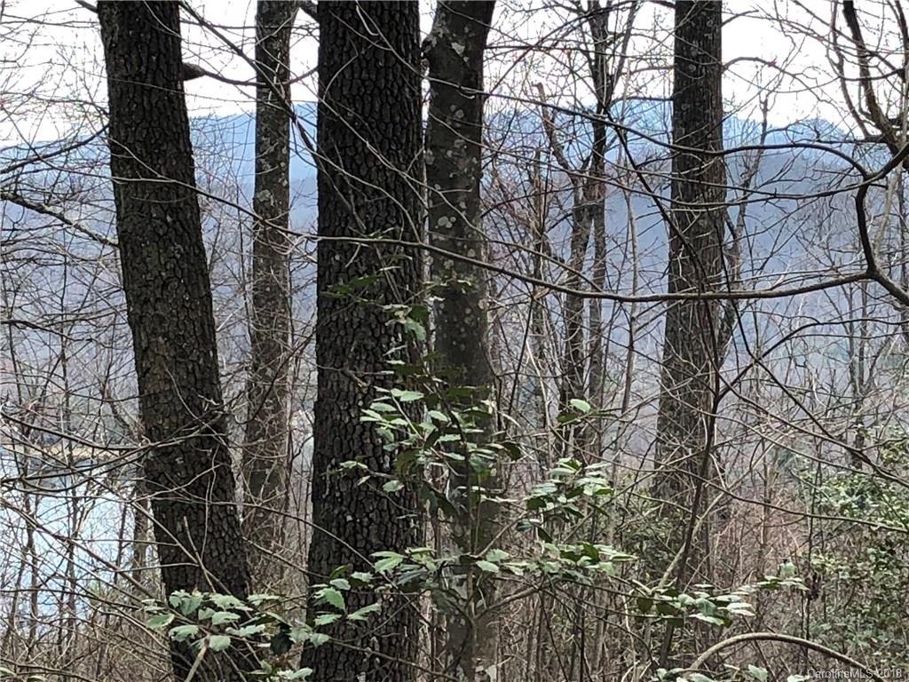 Lot 21 Tanglewood Lane