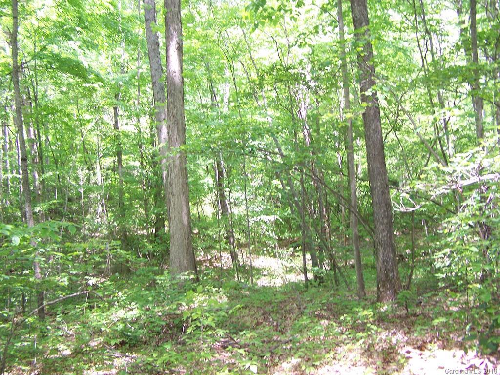 Lot 39 Cabin Creek Trail