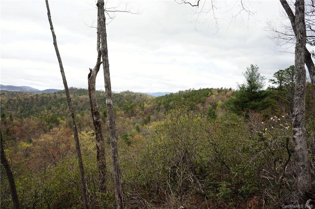 Tbd Ruffed Grouse Road 46