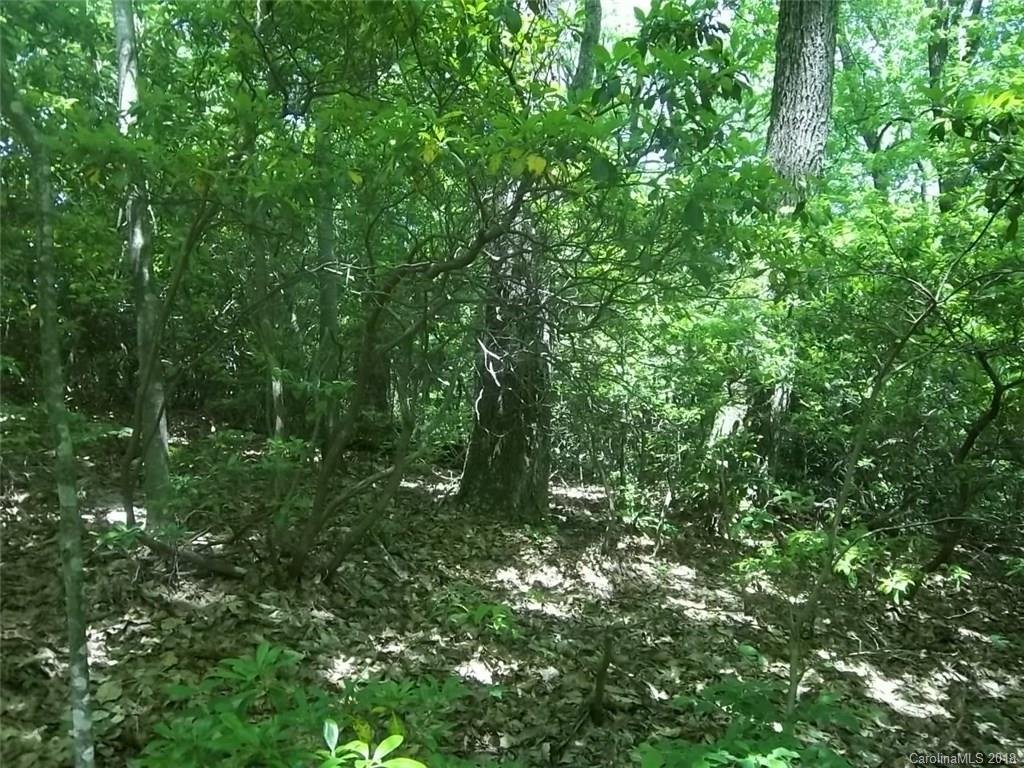 00 Old Mill Road