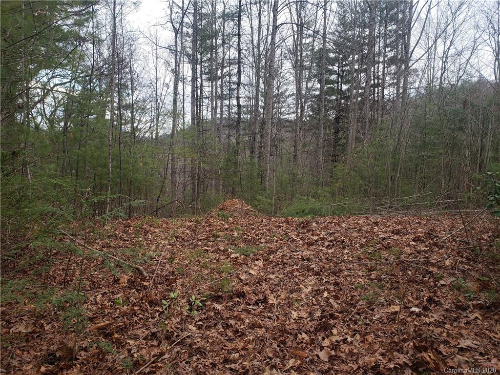 108 Dream Forest Trail