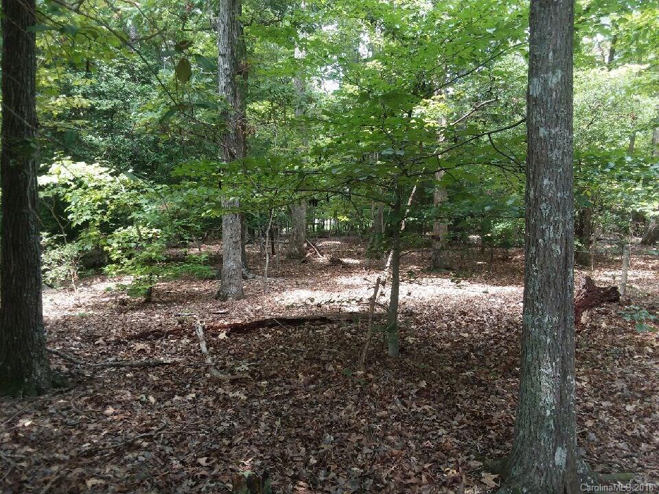 966 Scout Road