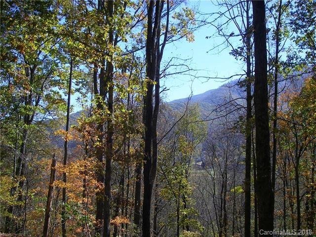 31 Fern Trail