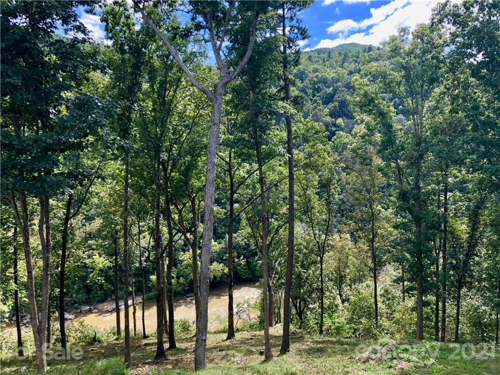 3519 French Broad Parkway