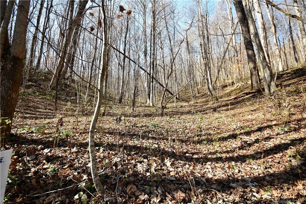 10 Tranquility Trail