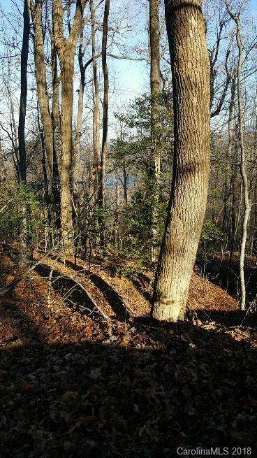 Lot 12 Tanglewood Lane