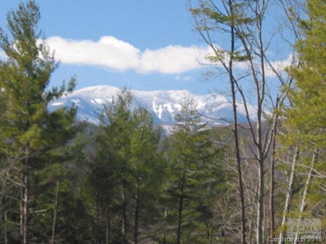 Lot 49 Black Forest Drive