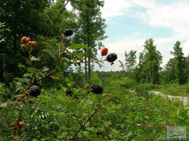 55 56 Blackberry Creek 5556