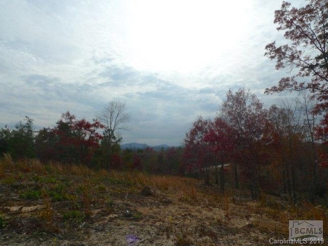 Area 1 Bear Cliff Drive