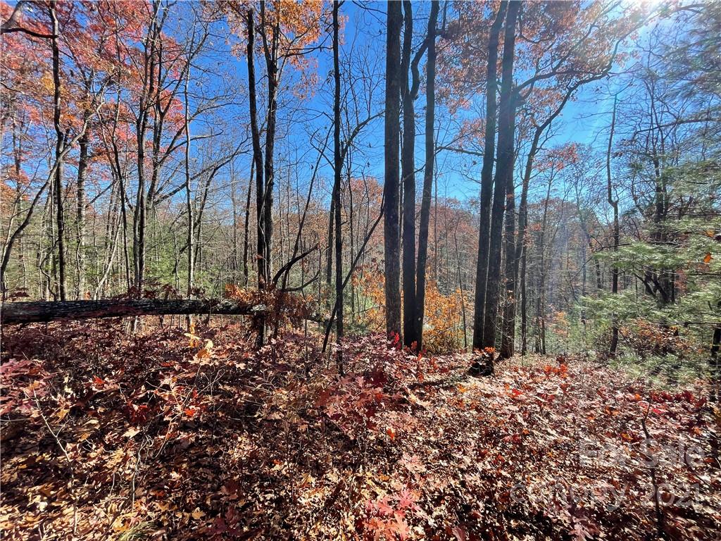116 Green Hollow Lane
