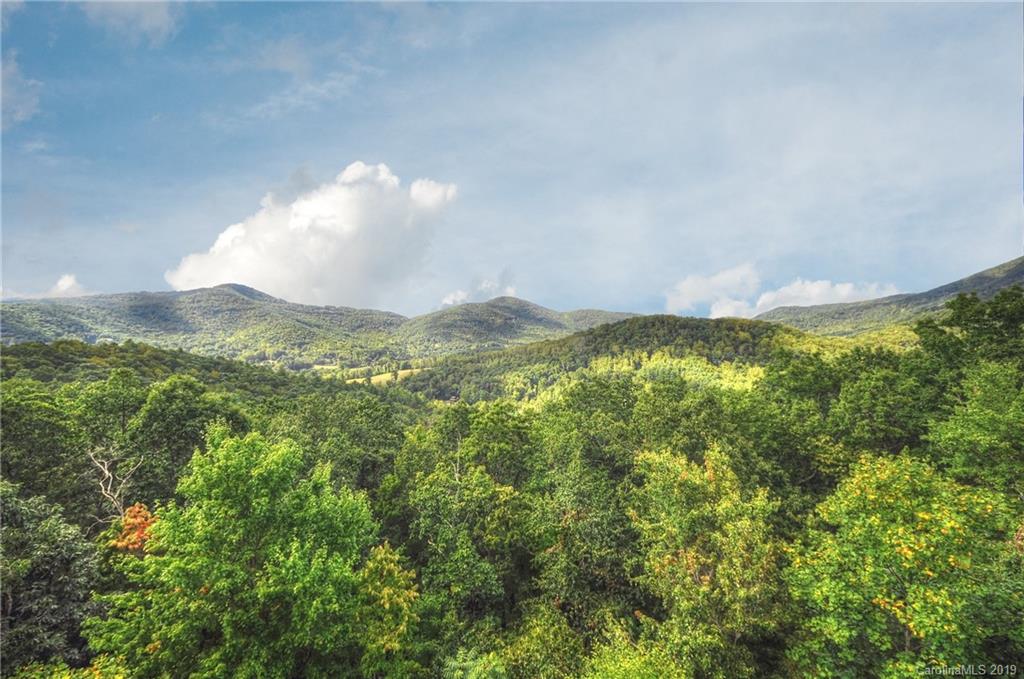 316 Mountain Laurel None