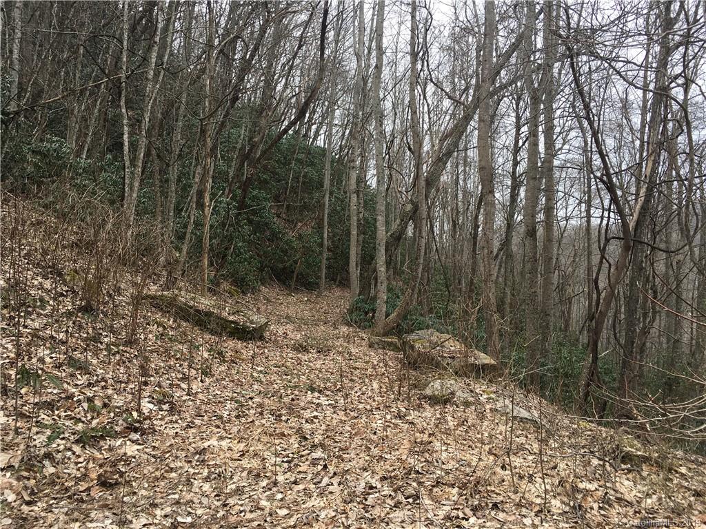 Lot 96 Whispering Woods Path