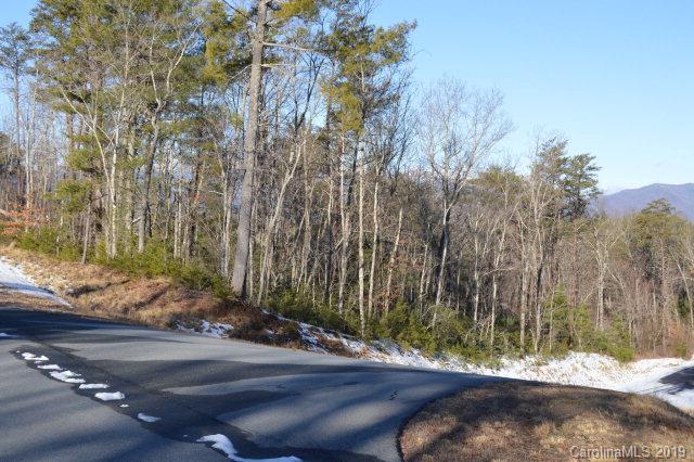 Lot 49 Bald Eagle