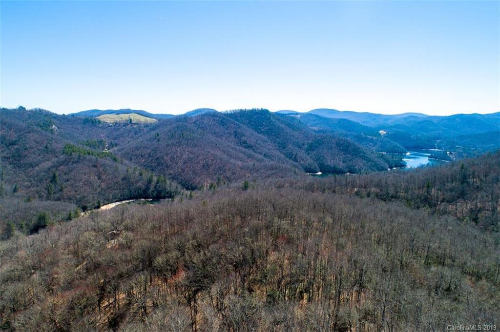 Lot 8 Forest View Lane