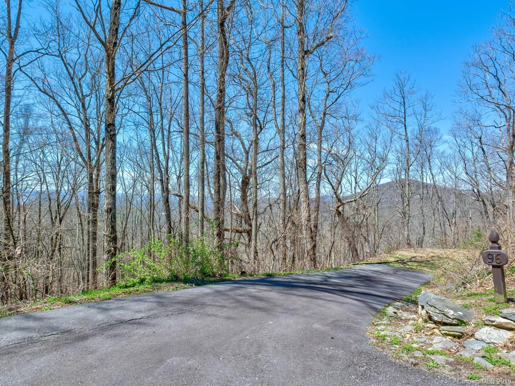 96 Castanea Mountain Drive
