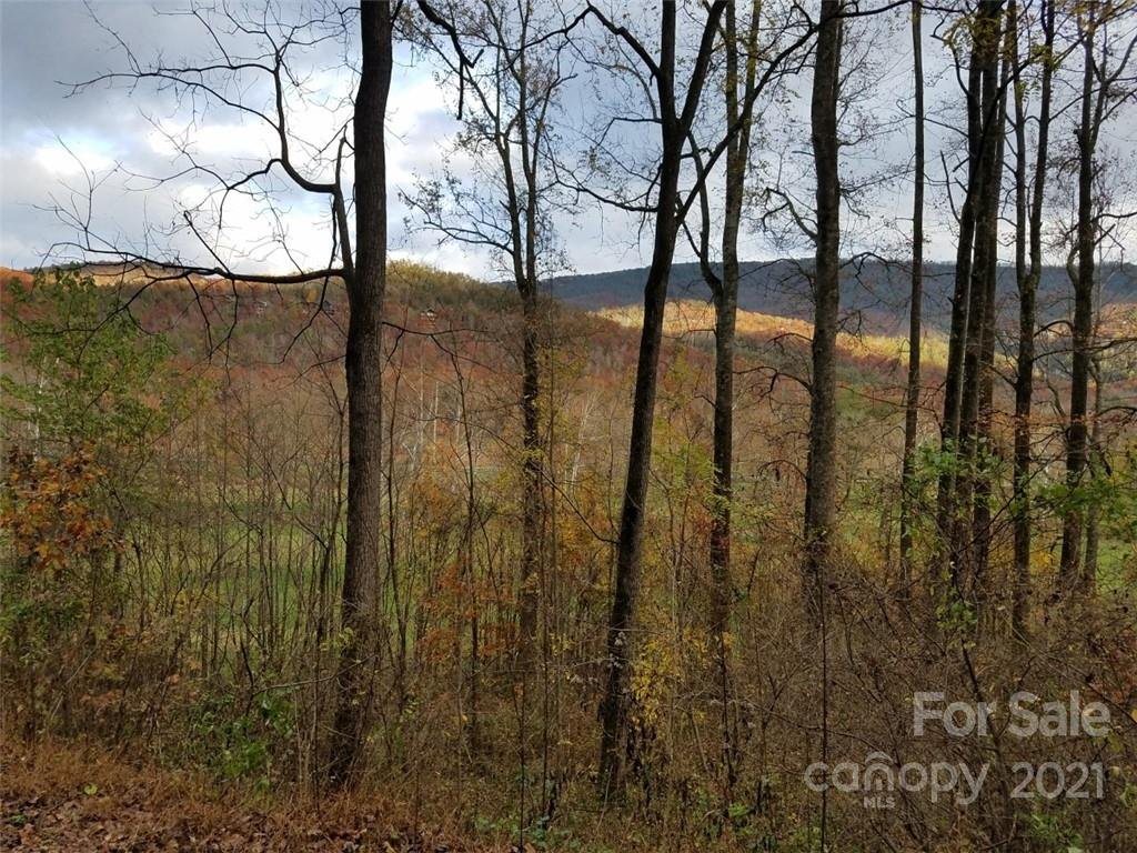 Lot 17 Blue Ridge Drive
