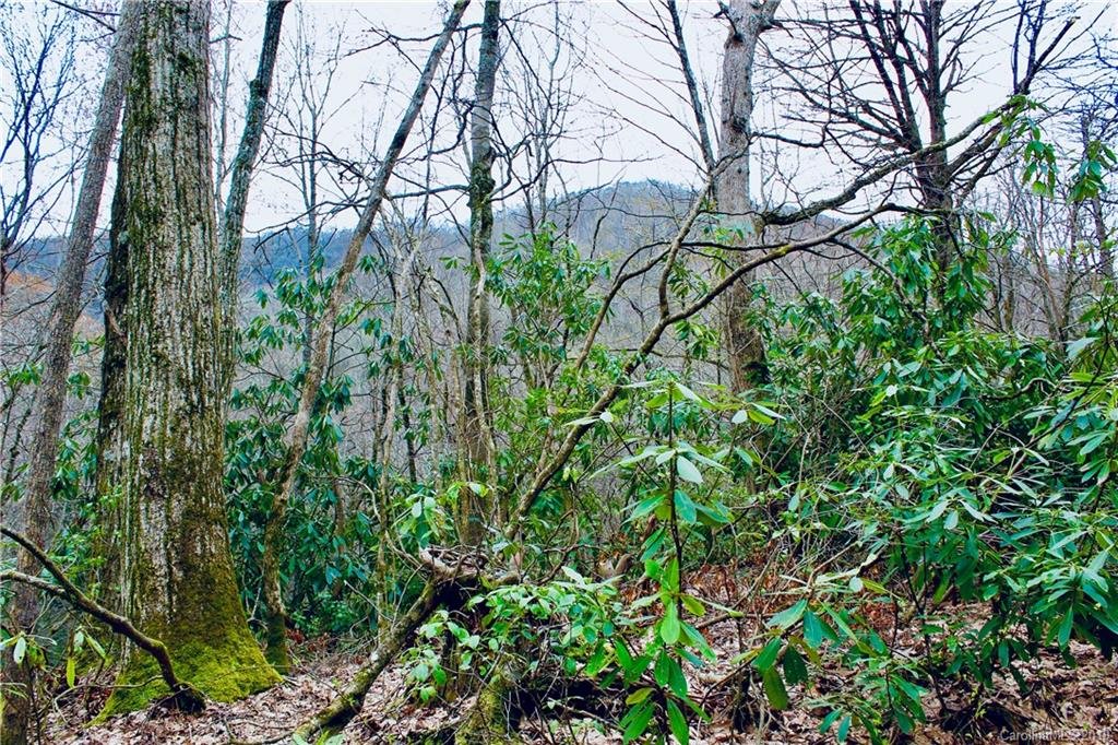 Lot 27 Huckleberry Drive