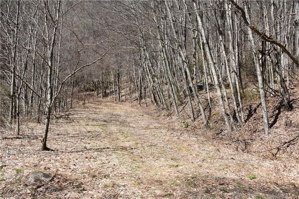 12 Sheepback Road