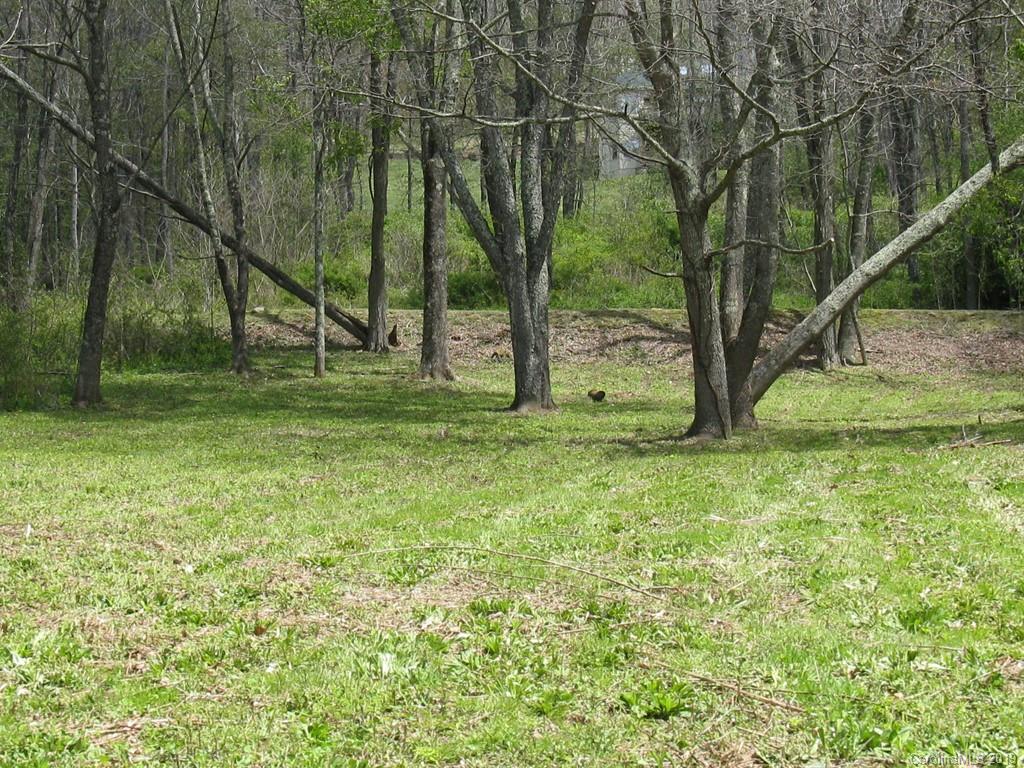 Lot 61 Twisted Trail