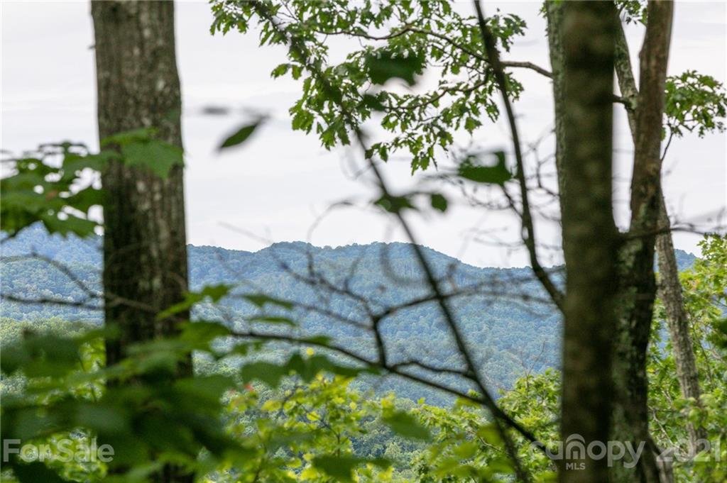 Lot 25 Austin Mountain Road