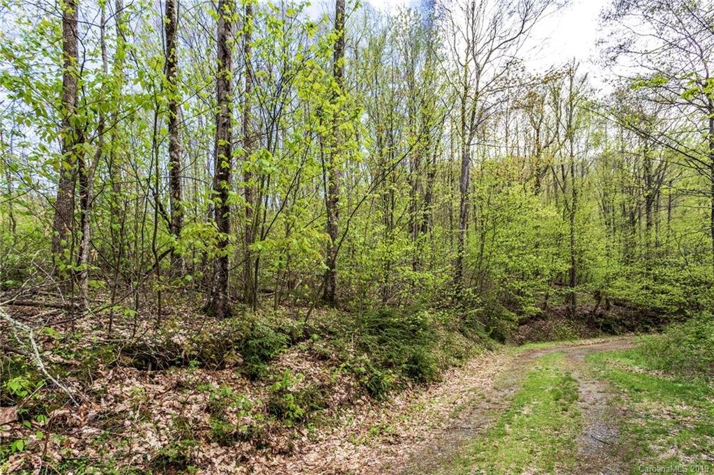 Lot 64 Big Springs Trail